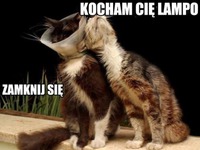 Kocham cię lampo