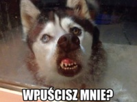 Wpuścisz mnie!