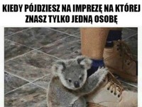 znasz tylko jedną osobę