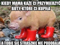 Nie podobaja mu się