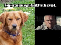 Clint Eastwood