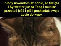 Koniec laby ;(