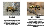 Uważajcie na te dwa małe stworzenia!  :)