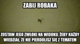 Niech widzą