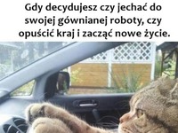 Może wyjechać