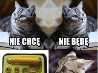 A jednak...