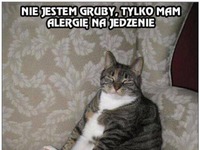 Nie jestem gruby