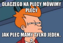 Plecy