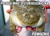 Piekna księżniczka