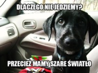 Dlaczego nie jedziemy