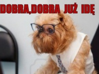 Dobra,dobra już idę
