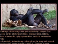 Mocny kawał! Pewnego słonecznego dnia dnia gość wybrał się z żoną do zoo