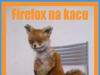 Firefox na kacu