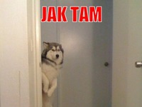 Jak tam