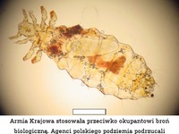 Pierwsza broń biologiczna używana w wojsku.