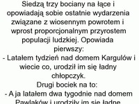 Bociany opowiadaja sobie historę, kto gdzie przyniósł dzieci.. DOBRE