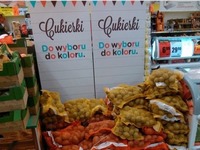 Tymczasem w Radomiu