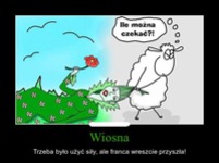 Trzeba było użyć siły