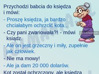 Babcia chciała ochrzcić kota! HAHA MASAKRA!