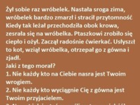 Historia o wróbelku z morałem. Cała prawda o życiu!