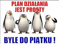 Plan działania