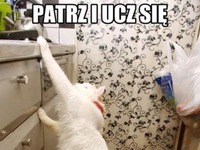 Ucz się młody