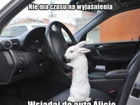 wsiadaj wsiadaj