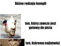 Rodzaje kumpli