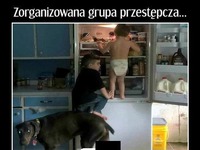 Praca zbiorowa