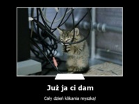 Juz ja ci dam :)