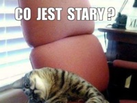 Co jest stary?