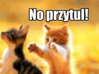 Przytul