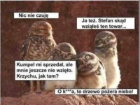 Dobry towar :)