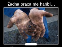 Żadna praca