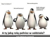 A ty jaką rolę pełnisz? :D