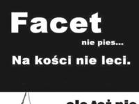 Facet nie pies