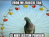 że niby jestem