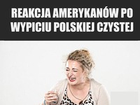 POLSKA WÓDKA nie jest dla wszystkich! ZOBACZ reakcje Amerykanów!