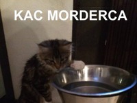 Kac morderca