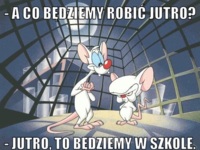 A co będziemy robić jutro? :(