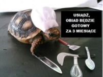 Obiad będzie gotowy za 3 miesiące