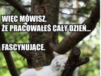 Więc mówisz, że pracowałeś cały dzień...