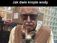 Jak dwie krople wody