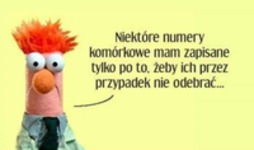 Niektóre numery