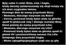 Matka miąła trzy córki Różę, Lilię i Cegłę. Pewne dnia spytały się dlaczego mają takie imiona.. Dlaczego cegła? :D