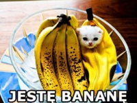Jestę bananę :D