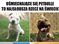 SŁODKO!