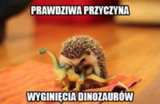 Poznajcie prawdę