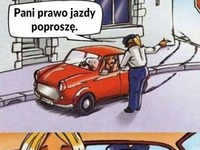 Kiedy policja łapie BLONDYNKĘ! HAHA