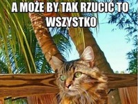 A może by tak rzucić to wszystko